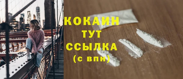индика Новозыбков
