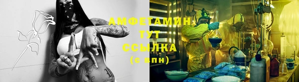 ГАЛЛЮЦИНОГЕННЫЕ ГРИБЫ Няндома