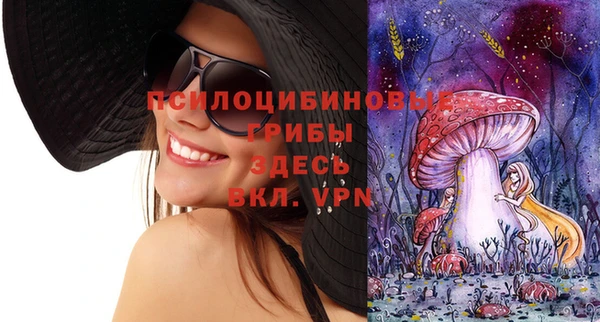 амф Валдай