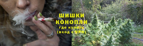 гидропоника Новодвинск