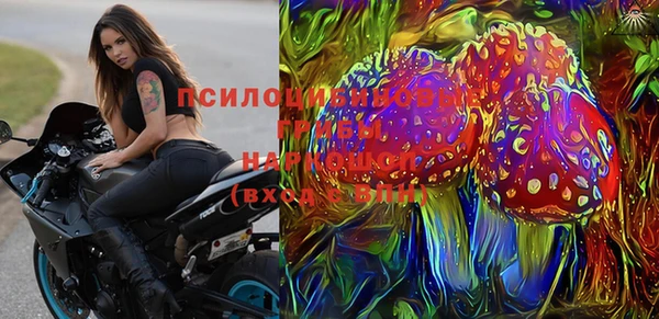 ГАЛЛЮЦИНОГЕННЫЕ ГРИБЫ Няндома